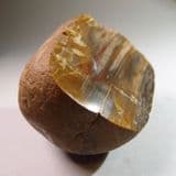 SILICIFIED FOSSIL WOOD FROM ESSEX - Colchester, Essex