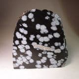 SNOWFLAKE OBSIDIAN - Utah, USA