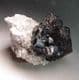 SPHALERITE CRYSTALS ON DOLOMITE  -   Elmwood Mine, Tennessee, USA