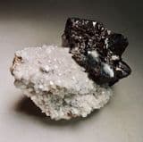 SPHALERITE CRYSTALS ON DOLOMITE - Elmwood Mine, Tennessee, USA