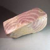 STROMATOLITE (‘Beetroot stone’) - 165 million years old - Gloucestershire