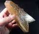 SWALLOW-TAIL SELENITE CRYSTALS  -  France
