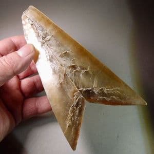 SWALLOW-TAIL SELENITE CRYSTALS  -   France
