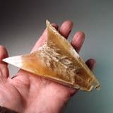 SWALLOW-TAIL SELENITE CRYSTALS - France