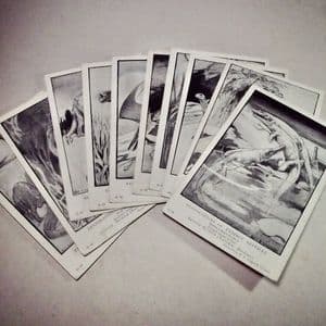 TEN VINTAGE BRITISH MUSEUM (NATURAL HISTORY) POSTCARDS  OF RESTORATIONS OF EXTINCT REPTILES