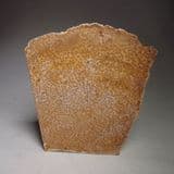 TEXAS FOSSILISED PALM WOOD - 30 million years old - USA