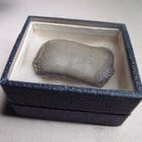 TOOTH OF A JURASSIC SHARK (ASTERACANTHUS) - 165 million years old - Corby, Northamptonshire