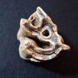 TOOTH OF WOOLLY RHINOCEROS - 40,000 years old - Oxfordshire