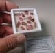TOURMALINE CRYSTALS  (14 crystals in gemstone box)