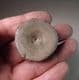 TRIASSIC ICHTHYOSAUR VERTEBRA  - 210  million years old -  Somerset