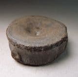 TRIASSIC ICHTHYOSAUR VERTEBRA  - 210  million years old -  Somerset