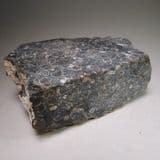 TURRITELLA AGATE - unpolished piece - Wyoming, USA