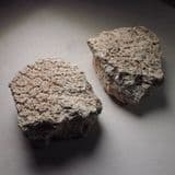 TWO BONY PLATES OF GLYPTODON - Over one million years old - Argentina