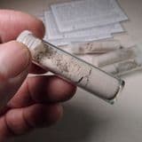 VOLCANIC ASH - From the 1980 eruption of Mount St. Helens, USA