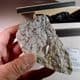 WEARDALE GRANITE  -   Rare sample from the Rookhope borehole -  Weardale, County Durham
