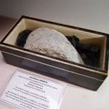 WEARDALE GRANITE  -   Rare sample from the Rookhope borehole -  Weardale, County Durham