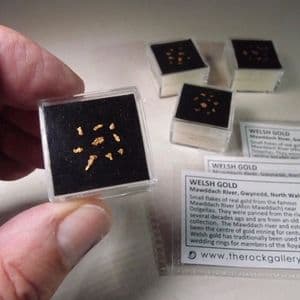 WELSH GOLD (FLAKES OF NATIVE GOLD) - MAWDDACH RIVER, NORTH WALES