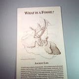 WHAT IS A FOSSIL? - Illustrated pamphlet about fossils (available at fairs only)