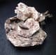 ZINNWALDITE CRYSTALS  - Brazil