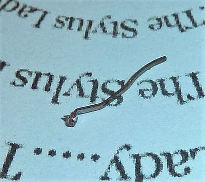 Stylus for Acos GP19, GP20, HGP35, HGP55 LP