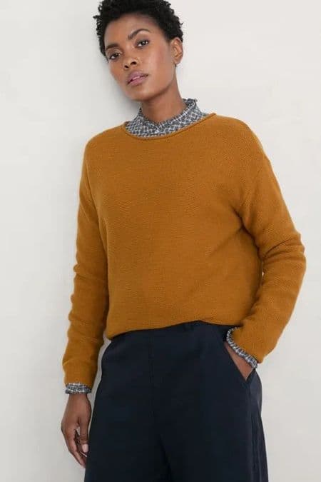 Fruity Jumper II. Chanterell