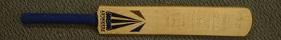 1996 - SURREY COUNTY CRICKET CLUB - Autographed Bat