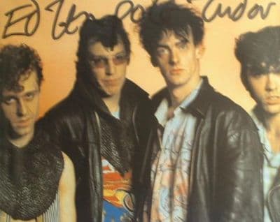 A085 -  EDWARD TUDER-POLE Autographed top 10 x 8 photo