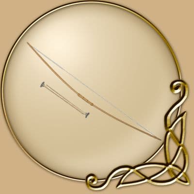 Archer's Bow and Arrows