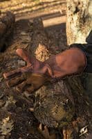 LARP Falcon Gloves