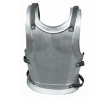 LARP Platemail- BackPlate - King / Templar