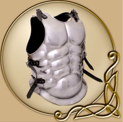 LARP Platemail Muscle breast and back plate