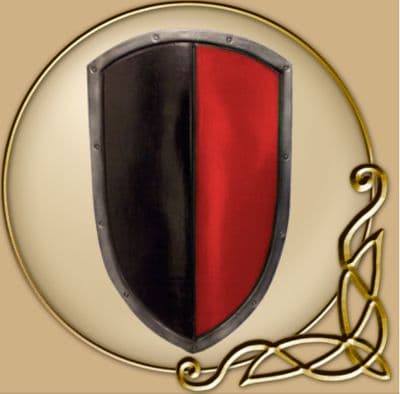 LARP RFB Kite shield