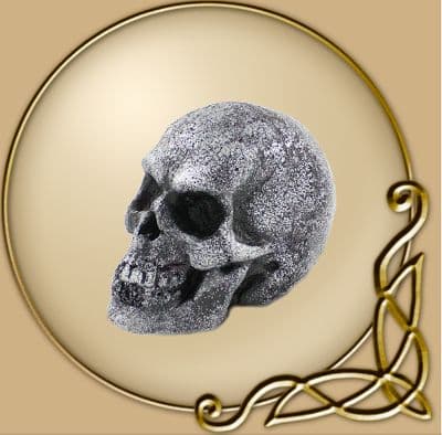 LARP Small Skull