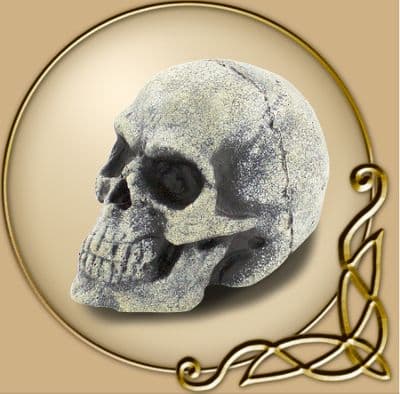 LARP Small Skull - Bone