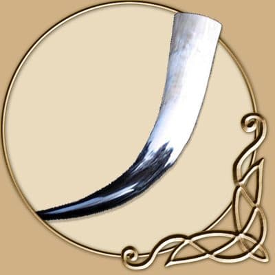 Medium Drinking Horn