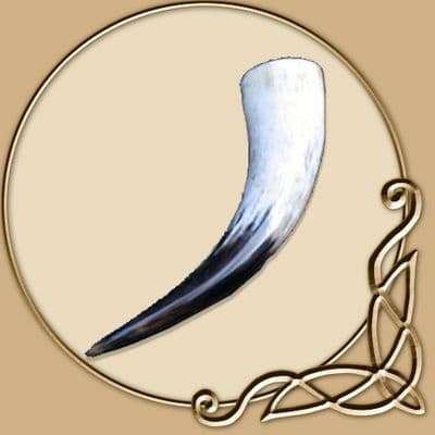 Small Drinking Horn