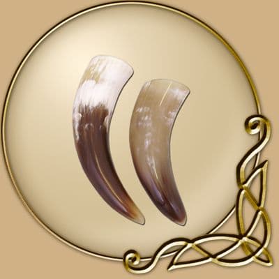 Tiny Drinking horn 0.2 L