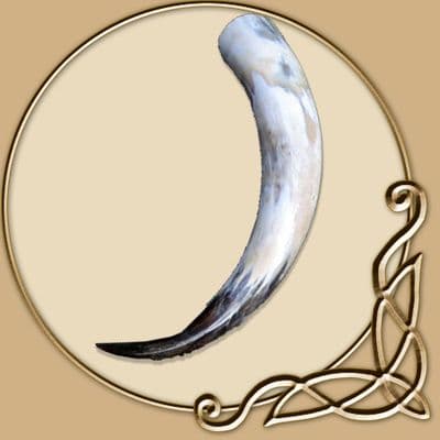 Viking Drinking Horn XXXXL