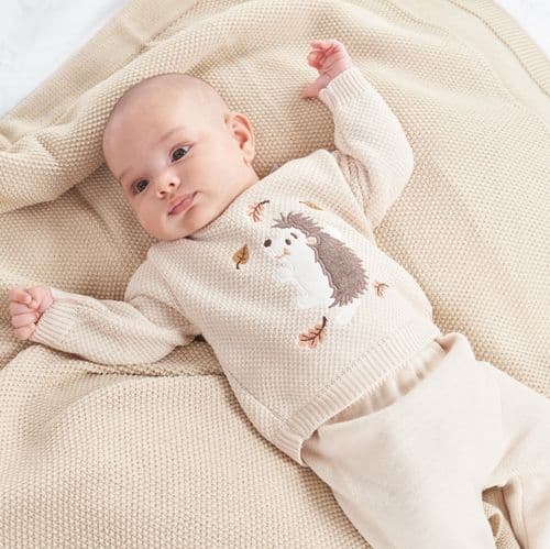 A4961 Hedgehog Jumper and Leggings