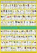 S-48 English Spelling Chart A1 (Medium Wallchart for Groups or Classes)