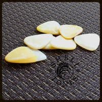 Shell Tones - Gold Pearl - 4 Guitar Picks | Timber Tones