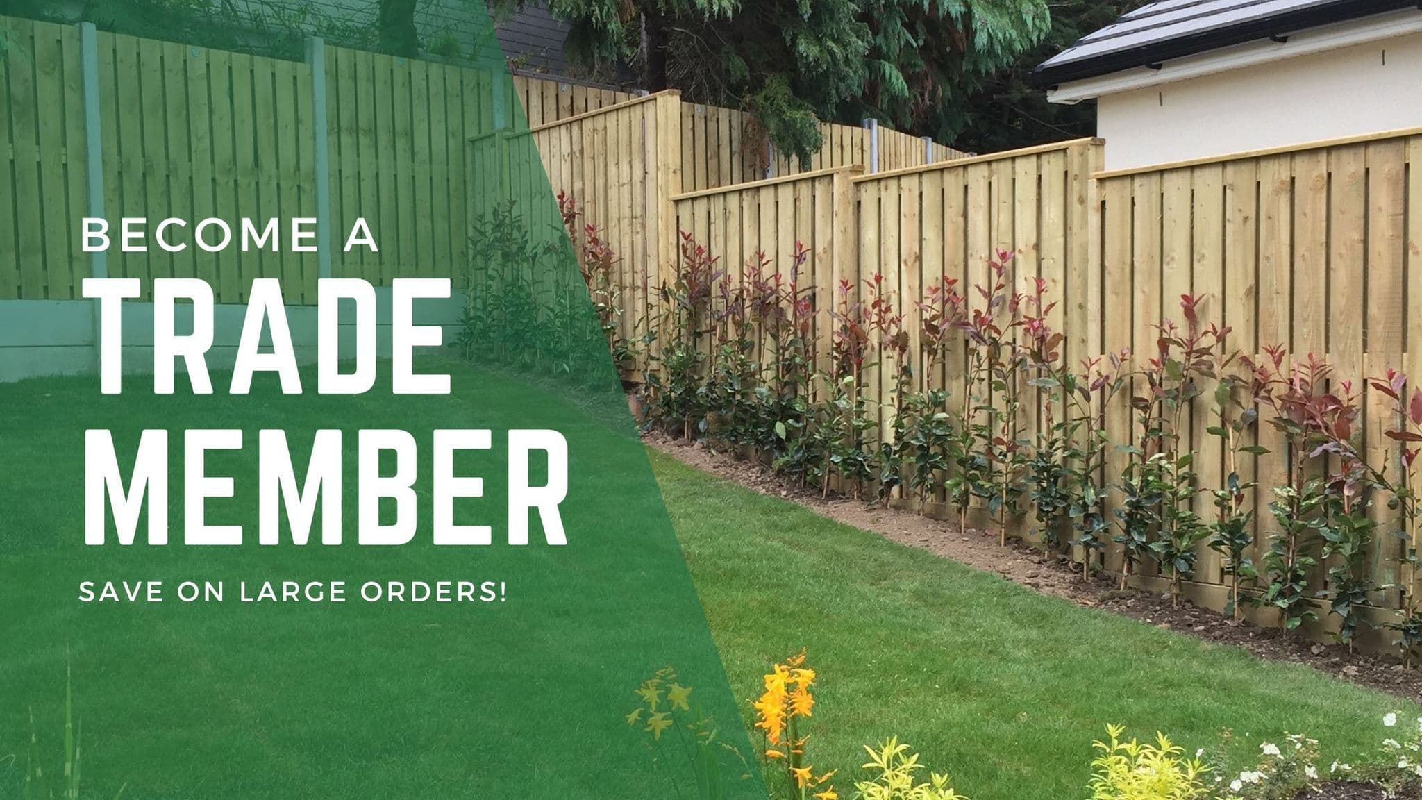 Timbertrove Trade Member