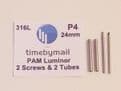 2X Tubes 2X Screws For PANERAI LUMINOR Lug Strap 22mm 24mm 26mm Watch 316L