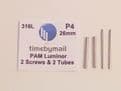 2X Tubes 2X Screws For PANERAI LUMINOR Lug Strap 22mm 24mm 26mm Watch 316L