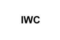 International Watch Company (IWC) Watch Hands