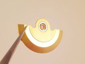 Swiss GOLD ROTOR FOR ETA 2824 & 2836 Watch Automatic Movement Replacement