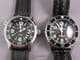 Zeno Fellow 6003-a1