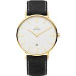 Danish Design Stainless Steel Gold Gents Watch IQ15Q1231
