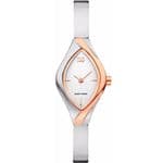 Danish Design Titanium Ladies Watch IV67Q1124