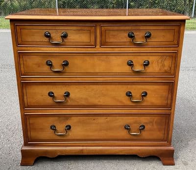 Georgian Style Yew Chest of Drawers